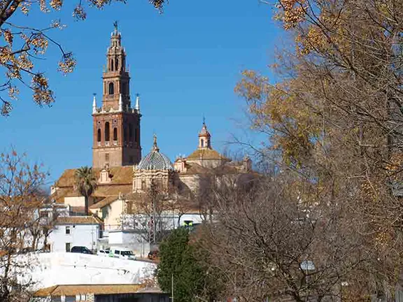 Iglesia de San Pedro with replica Giraldo Tower Seville province in Andalucia
