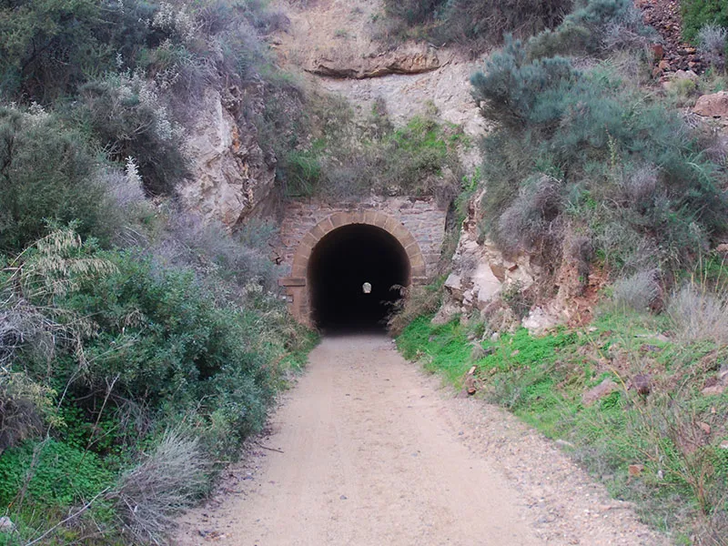 Tunel Servalico