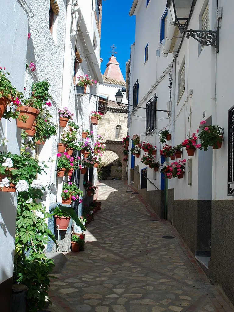 Arco de Villa Castril