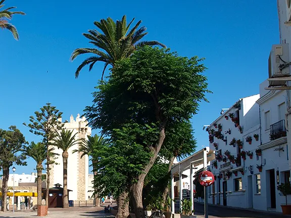 Conil de la Frontera - a seaside resort on the Atlantic