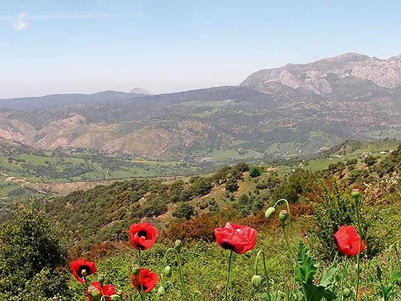 Cortes de la Frontera is on the edge of the Sierra de Grazalema Parque Natural