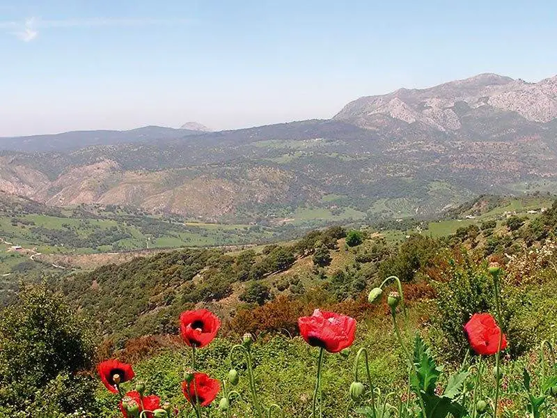Cortes de la Frontera is on the edge of the Sierra de Grazalema Parque Natural