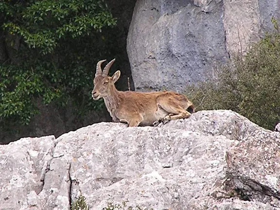 El Torcal de Antequera Paraje Natural