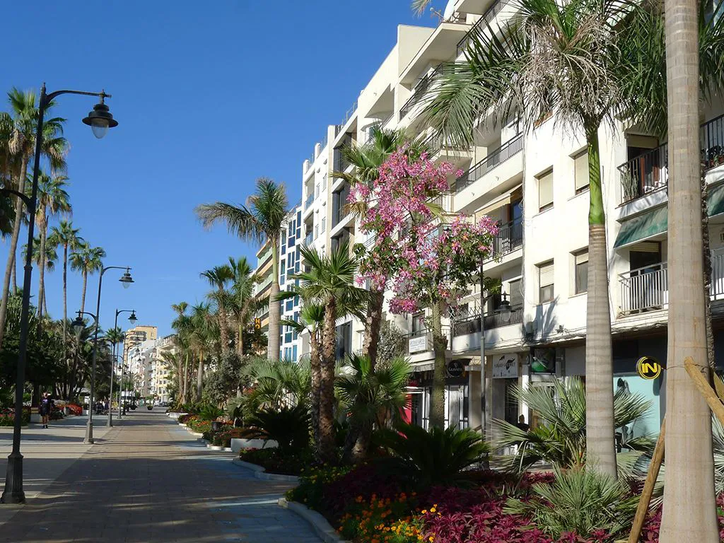 Estepona Paseo - Image by Philip Crawford