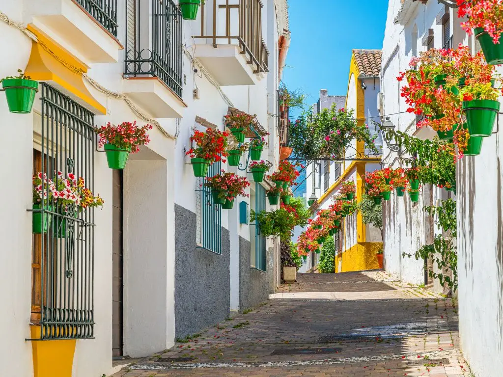 Estepona Boutique Hotels: 6 Gorgeous Stays Worth Booking Early