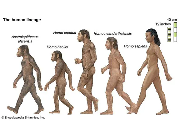 Prehistoric Andalucia