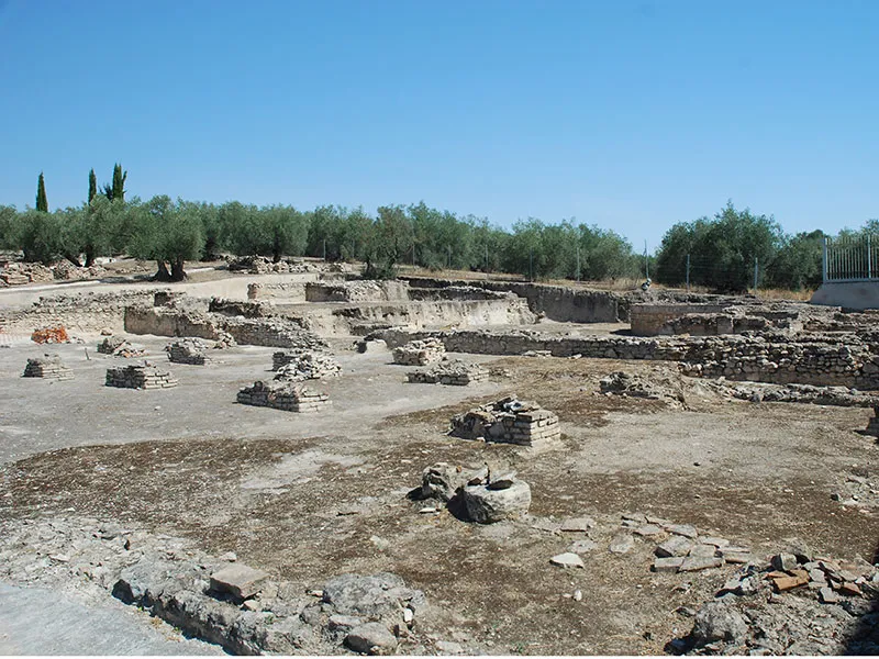 Fuente Alamo Roman Villa