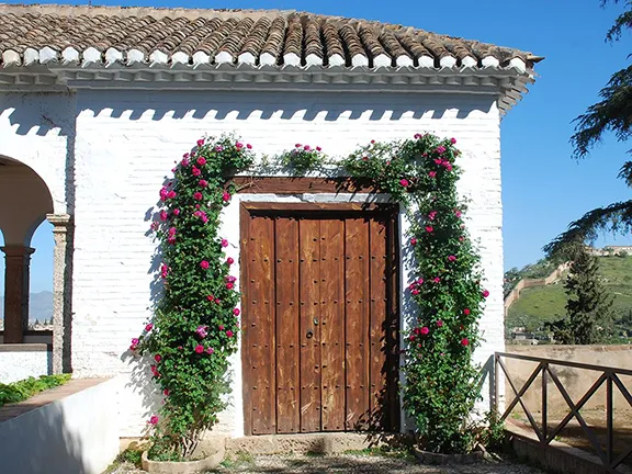 Roses round the door