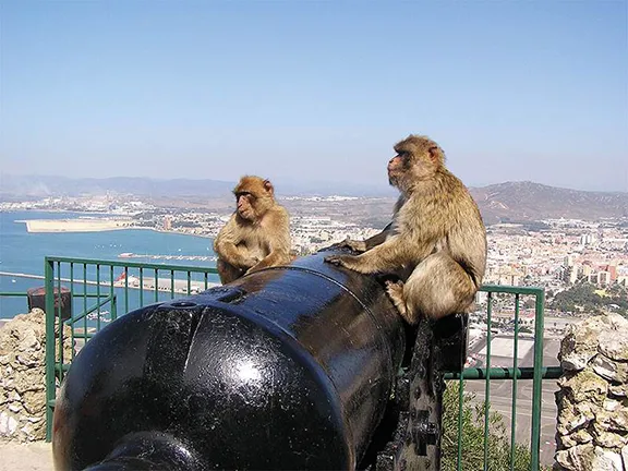 Visiting the Great Siege Tunnels of Gibraltar: History, Tips, and More
