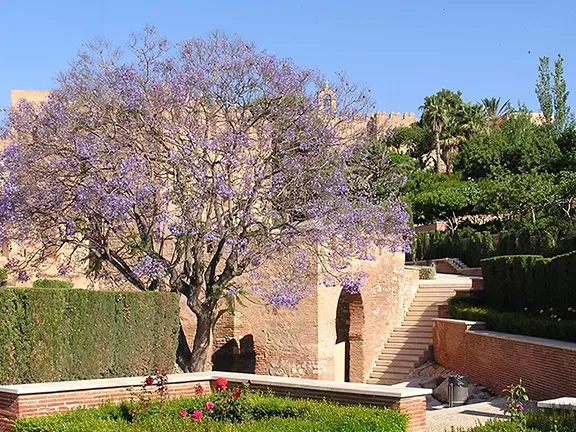 Alcazaba Almeria