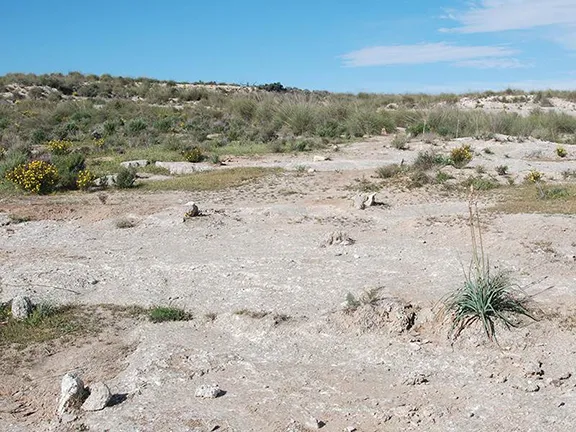 Gypsum markers on the plateau