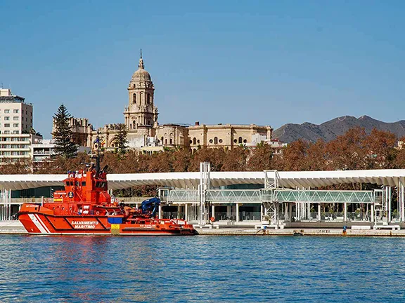 Malaga Cathedral from the port