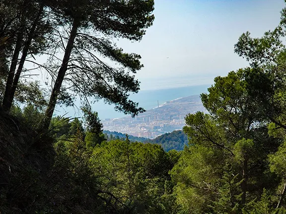 Montes de Málaga Parque Natural