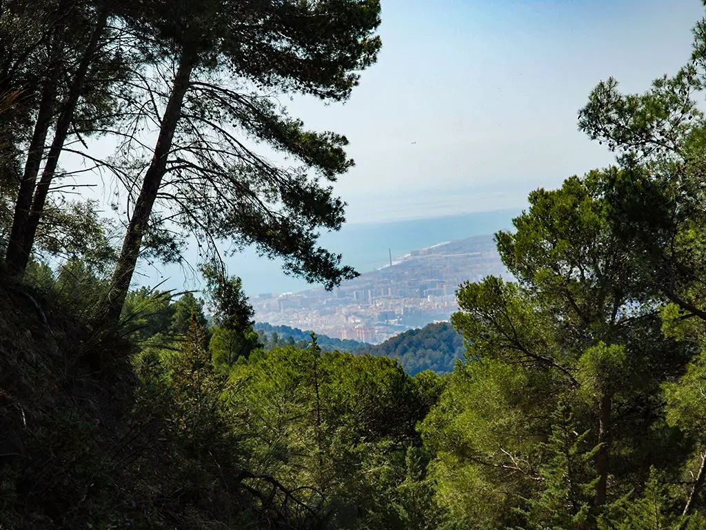 Montes de Málaga Parque Natural 