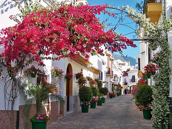 Estepona, Town of Flowers