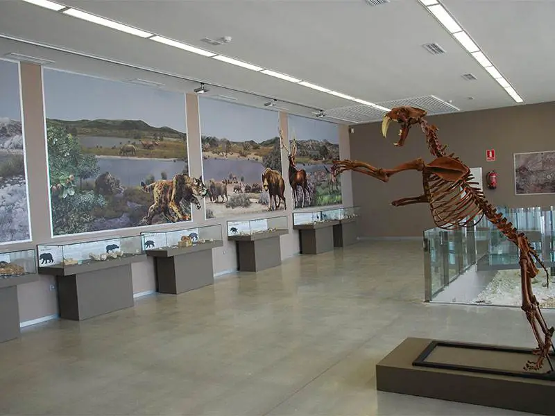 Orce Museum of Prehistory