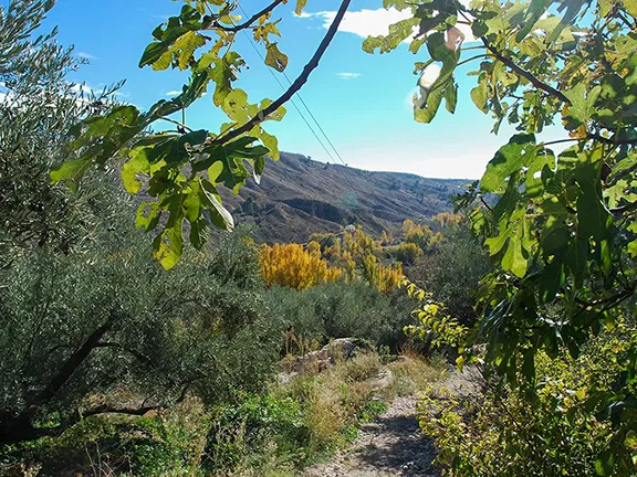 Sierra de Castril Parque Natural