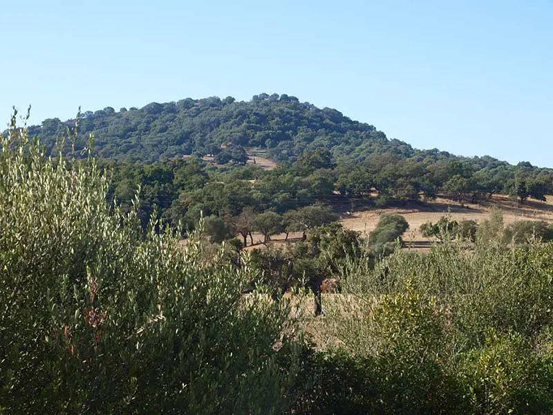 The site of Iptuci overlooking the salinas