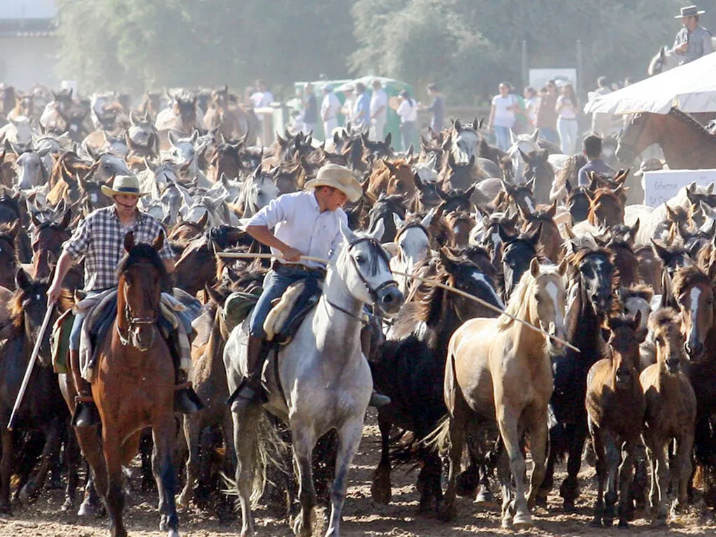 Saca de las Yeguas Festival Almonte