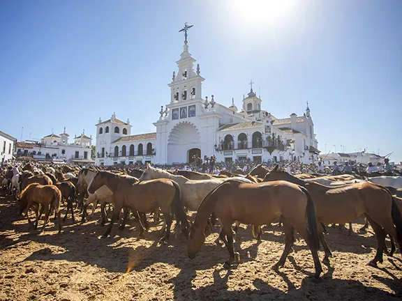 Saca de las Yeguas Festival El Rocio