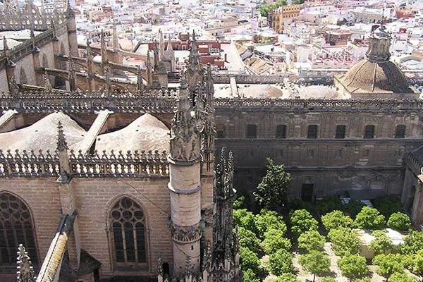 Seville Cathedral View