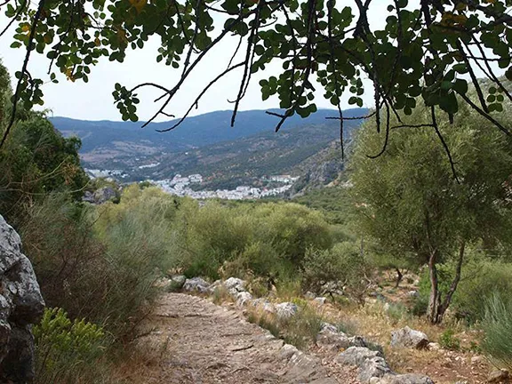 Walking in the Sierra de Grazalema Parque Natural