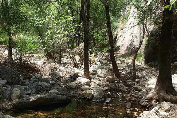Looking downstream from the source