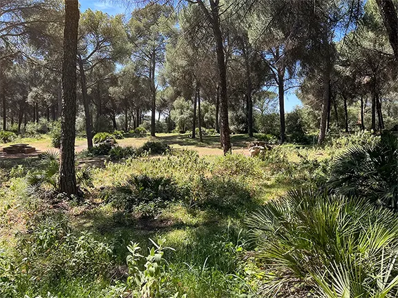 Megalithic Andalucia