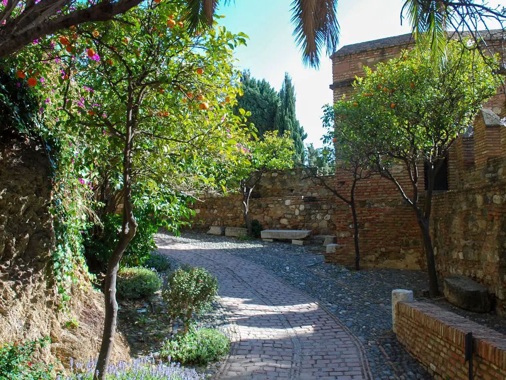 Malaga Alcazaba gardens