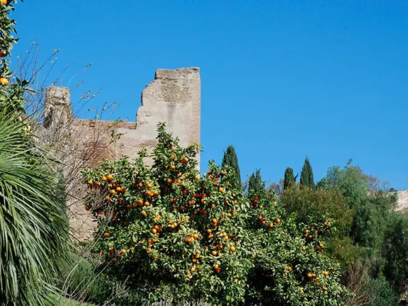 Malaga Gibralfaro