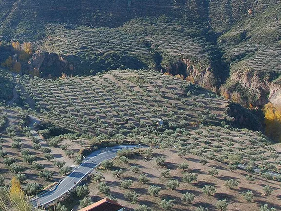 Hoyas de Coquin in the centre of the picture