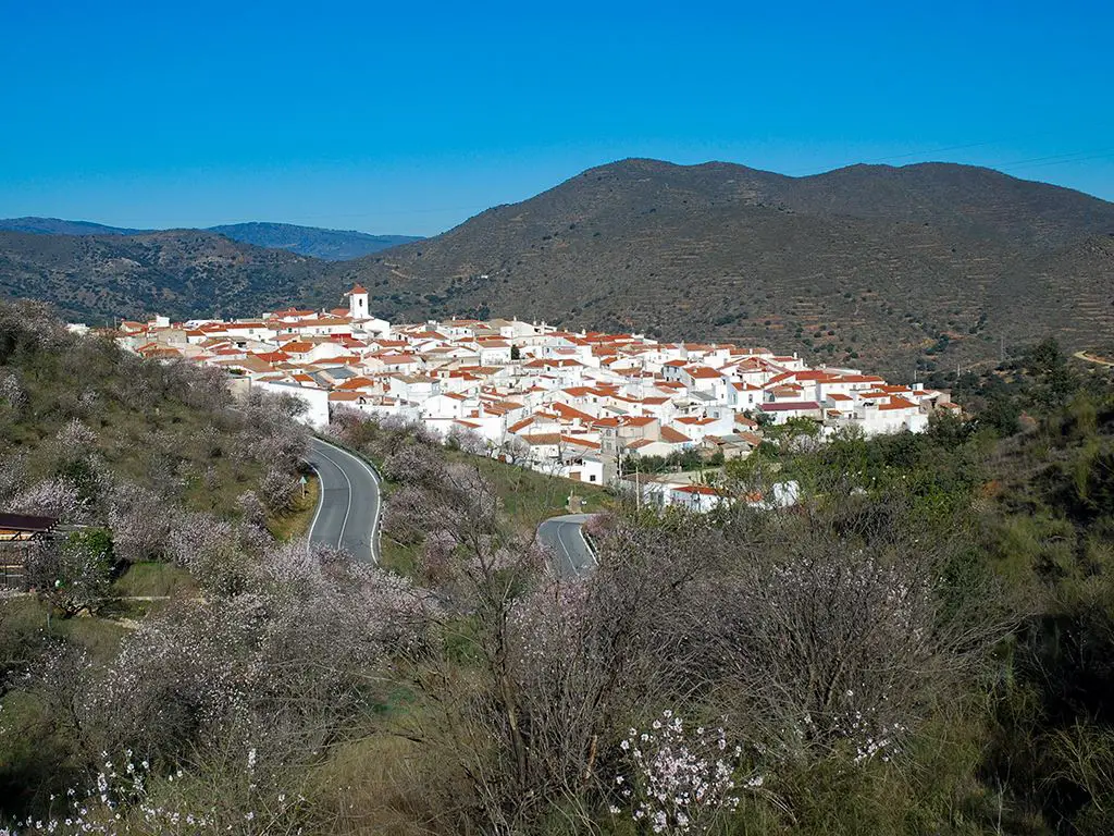 View towards Alcudia de Monteagud