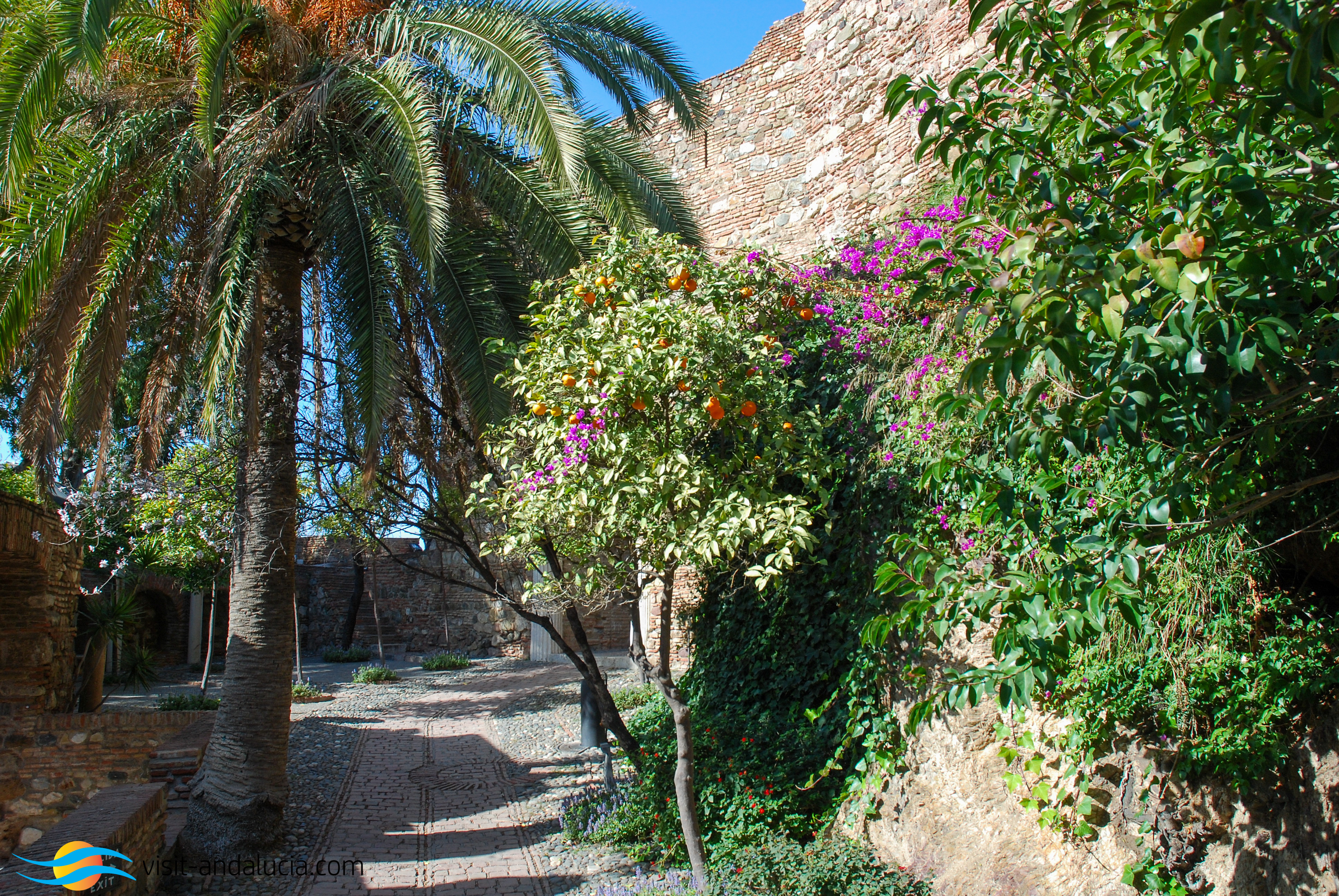 Inside the Alcazabar Malaga City